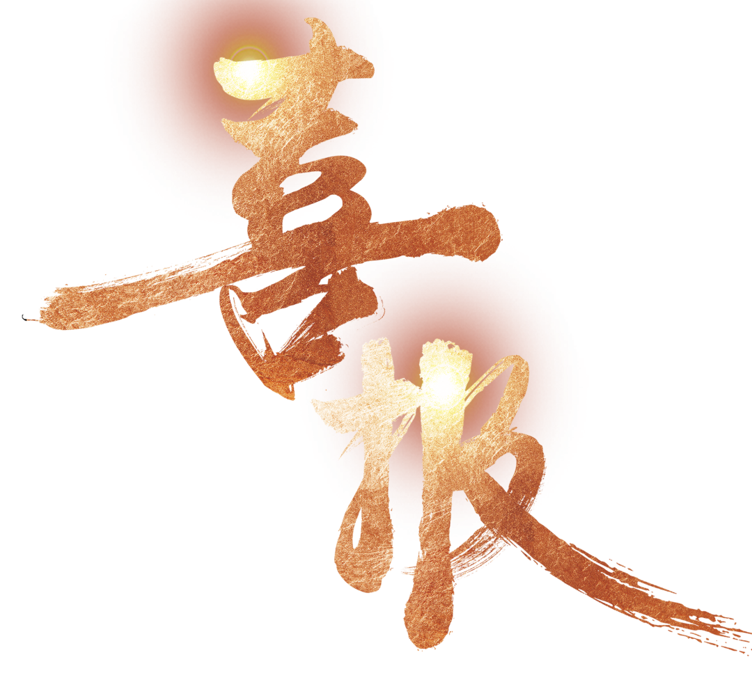 【中標喜訊】鑫飛鵬喜中標 全力以赴創(chuàng)新高！